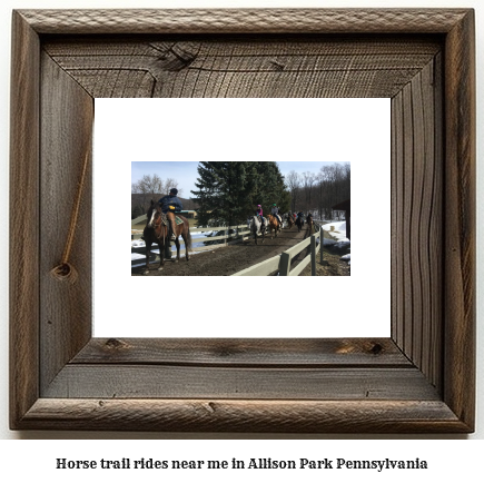 horse trail rides near me in Allison Park, Pennsylvania